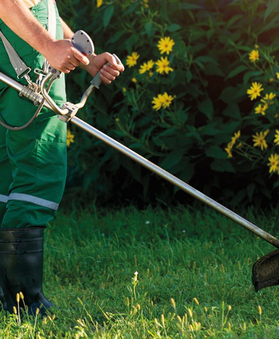 The gardener mows the grass with a lawn mower.